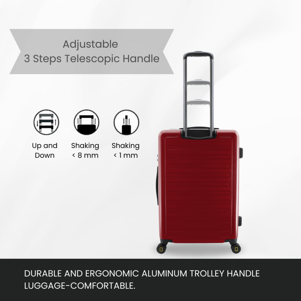 Bagsy_National Geographic_Everyday_Cruise - Hardshell Luggage_N164HA.49.06_Small