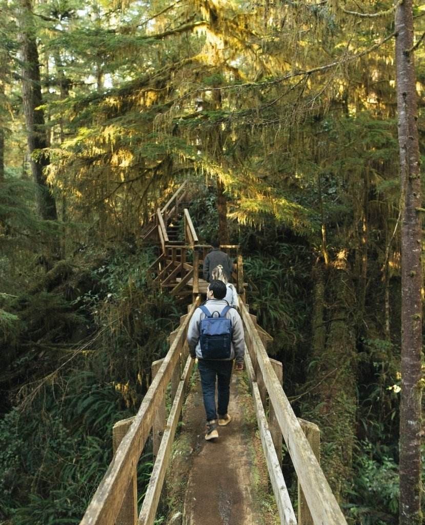 Hiking Bags - Bagsy