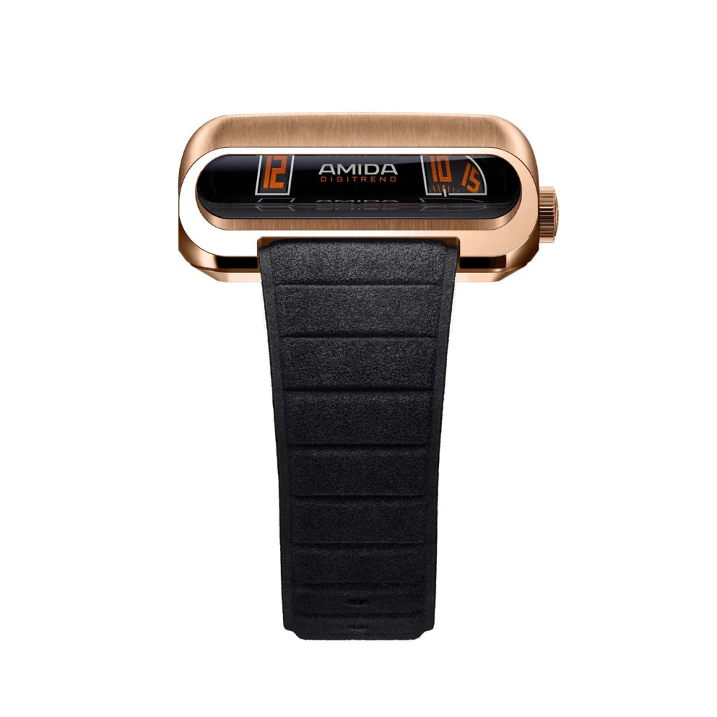 BAGSY_AMIDA__Digitrend Gold Edition__