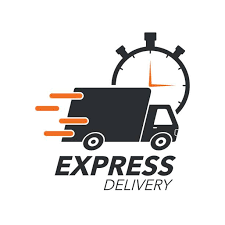 Express Delivery - Same Day Shipping