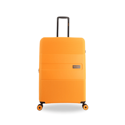 Bagsy_Discovery_Luggage_Trails Luggage_DL02H0.71.23_Large