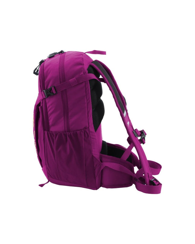 Bagsy_National Geographic_Everyday_Protect The Wonder - Backpack 10L_N29282.59_Fuchsia